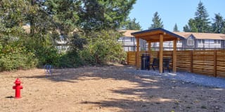 Forest Hill Village Gallery 31