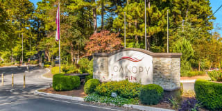 Canopy Glen Gallery 36