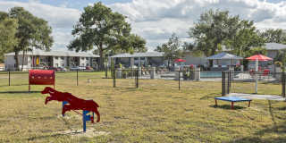 Barrington Place at Winter Haven Gallery 11