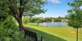 Waterside at Reston Gallery 33
