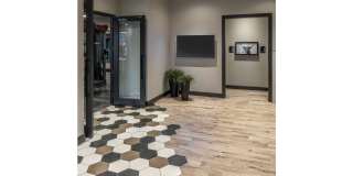 Park 125 Gallery 43