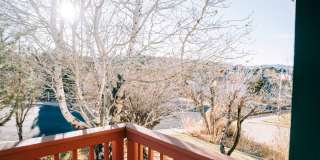 SMALL DOG FRIENDLY!!!  Meadow Street House Gallery 44