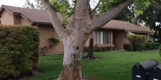 Leisure Village 55+ Gated Community Gallery 1