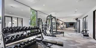 Tailor O4W Gallery 19