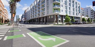 The Pacific Gallery 30