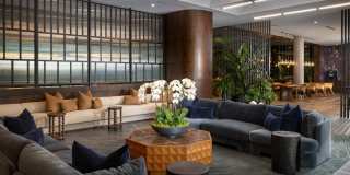 Alexan Camellia Gallery 11