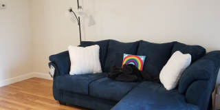 165 White Fawn Dr Gallery 6