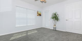 Ariel Springs Gallery 69