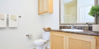 The Orsini Gallery 64