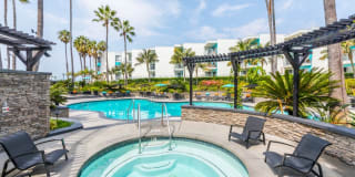 Ocean Club Gallery 16