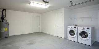 Axis on Roan Gallery 11