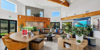 Promenade Terrace Gallery 21