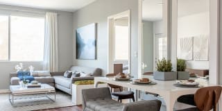 Apex Laguna Niguel Gallery 2