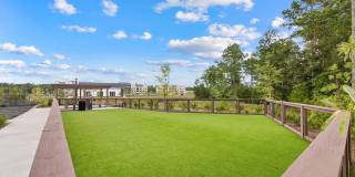 Goddard Point Hope Goddard Point Hope Gallery 17