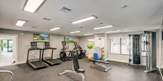 Cielo Point Cielo Point Gallery 19