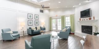Steeplechase Gallery 2