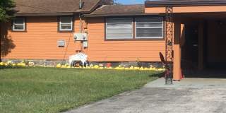 151 Highland Ave. Gallery 20