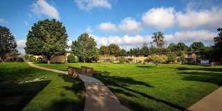 Oak Park Gallery 15
