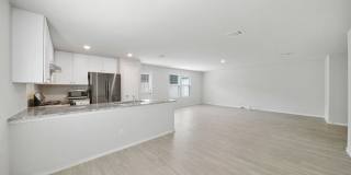 10135 Braun Cloud Gallery 17