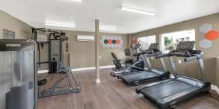 Glen Brae Gallery 10