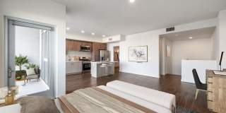 Essence Essence Gallery 52