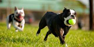 Lake+House Gallery 28