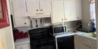 33 Willa Drive - B Gallery 3