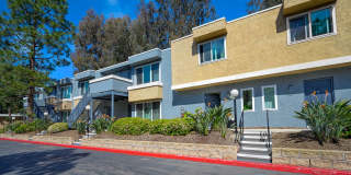 Point Loma Bay Gallery 2