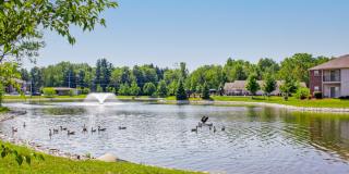 The Masters - Affordable Housing Gallery 21