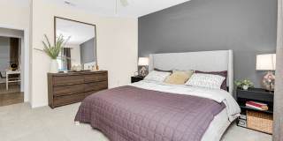 TGM University Park Gallery 10