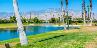 28859 Desert Princess Drive Gallery 28