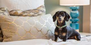 Valentia by Windsor Gallery 14