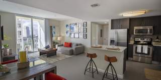 Vu New River Vu New River Gallery 48