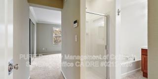 2709 Persimmon Ct Gallery 24