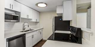 The Avantus Apartments Gallery 3