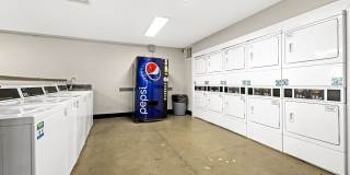 Celeste Glendale Gallery 4