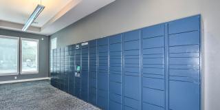 Windermere Cay Apartments Gallery 36