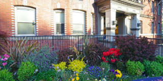 Ben Lomond Gallery 1