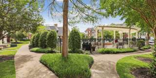 Nav850 at Olde Towne Gallery 16