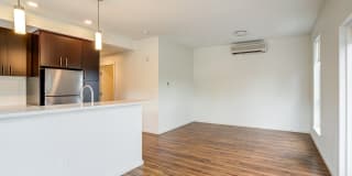 The Marilyn Gallery 20