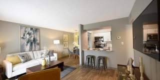 The Element Gallery 4