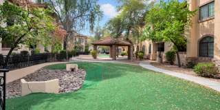 Desert Jewel Gallery 38