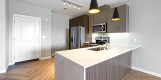 Olympus Alameda Gallery 3