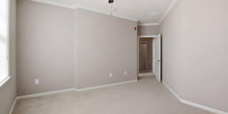 24636 WOOLLY MAMMOTH Terrace Gallery 31
