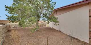 1529 BABE HISKEY Lane Gallery 4