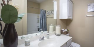 Ibis Trail Gallery 5