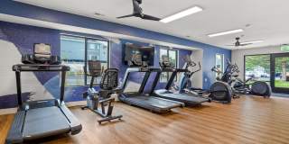 The Turnberry Gallery 28