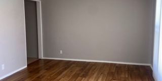 BALDWIN 08 Gallery 18