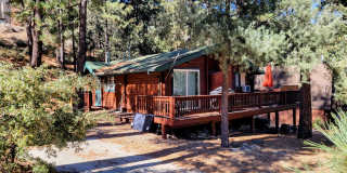 Move-In Ready 2-Bedroom Log Home with Wrap-Around Deck and Enclosed Yard Gallery 1