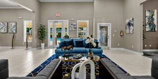 Belle Vista Gallery 24